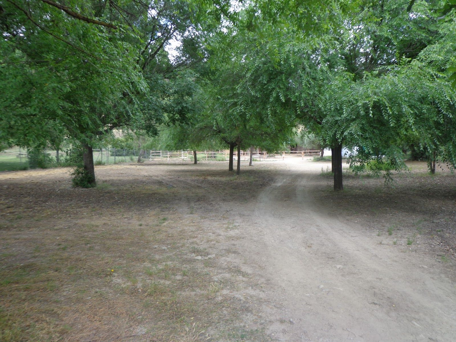 Imagen de uno de los  tres Parking con los que cuenta el Área Recreativa Arroyomolinos  'La Playita', en los cuales abunda la sombra por su Arboleda.